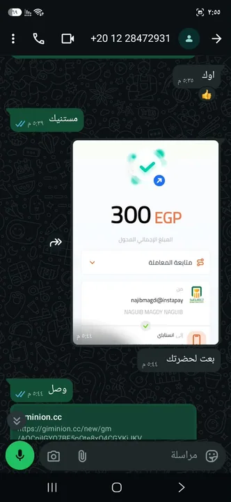 محادثة وإيصال تحويل لطلب Gemini Pro، أضافهما المتجر من طلب سابق.