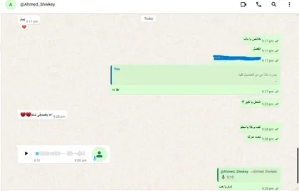 صورة من طلب سابق لـ Framer Pro شاركها المتجر.